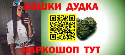 гидропоника Новозыбков